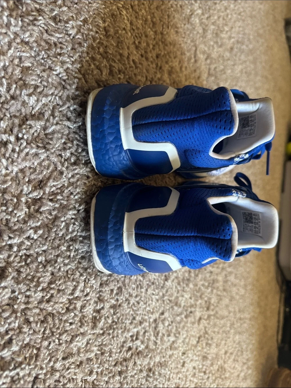 adidas Ultraboost 1.0 Blue & White Knit Training Sneakers